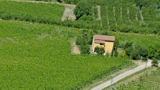 Agriturismo Nobile Montepulciano Italy [upl. by Nitza779]