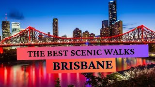 WHAT ARE THE BEST SCENIC WALKS AROUND BRISBANE CITY [upl. by Narih946]