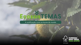 ecossisTEMAS A certificação corre as bocas do mundo [upl. by Aielam]