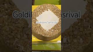 Layered Cashew Wafers sansrival goldilocks sharelove shorts sweet cake foodie food [upl. by Ycat]