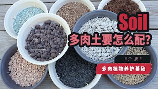 【8】多肉植物  【新手必看】养多肉的土该怎么配？ [upl. by Chamkis]