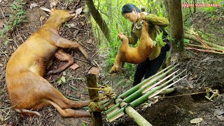 สาวดอย วางกับดักล่ากวางป่าสุดยอดมาก Amazing trap to deer hunting [upl. by Brahear265]