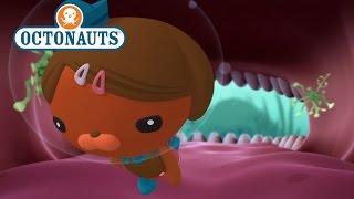 Octonauts The Cave with Teeth [upl. by Narcissus]