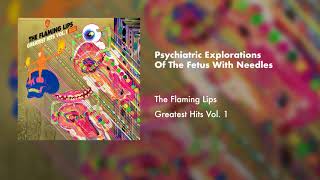 The Flaming Lips  Psychiatric Explorations of The Fetus With Needles Official Audio [upl. by Wilkinson]