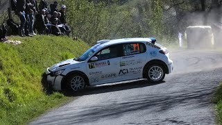 Rally Alba Regione Piemonte 2023  SMALL CRASH MISTAKES amp SHOW [upl. by Drolyag410]