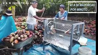 Mi video despulpadora de cacao Perú [upl. by Arola]