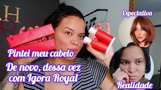 Pintando cabelo sozinha ruivo sem descolorir com Igora Royal🦊🧡 ruivas ruivoacobreado ruivo [upl. by Orren]