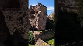 Welcome to the Heidelberg Castle 🇩🇪 germany vlog shorts [upl. by Beichner283]