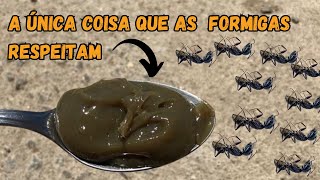 SOMENTE ISSO IMPEDE O ATAQUE DAS FORMIGASCOMO ACABAR COM FORMIGAS NAS PLANTAS [upl. by Fromma387]