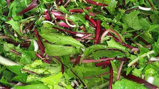 boiled Red Chicory 🥗 [upl. by Odnolor]