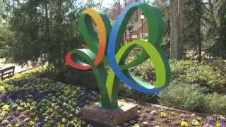 New Coaster Tree Statue  Busch Gardens Williamsburg VA [upl. by Deny]