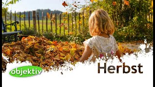 Wie wirkt sich der Herbst auf uns und die Natur aus [upl. by Meela]