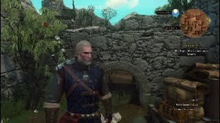 Treasure Hunt Quest The Toussaint Prison Experiment DLCThe Witcher 3 Wild Hunt Playstation 4 81 [upl. by Yrreb600]