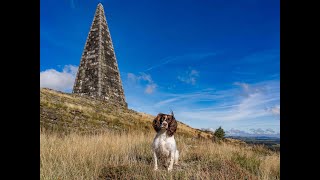 A walk to Neilson Monument near Ringford [upl. by Auhsuj]