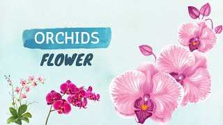 Orchids Discover Their Fascinating Origins Unique Features and Complete Care Guide flower [upl. by Drusilla]