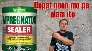 PARA SAAN GINAGAMIT ANG IMPREGNATOR SEALER bestvarnishpaintsideasandtechniques [upl. by Japheth100]