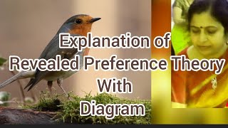 Revealed Preference Theory Part  2  Explanation of Revealed Preference Theory with Diagram [upl. by Caddaric]