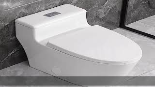 SouNor One Piece Toilet Elongated Bowl With Soft Close Seat Standard Seat Height Top Dual Flush 08 [upl. by Emmye]