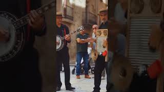 Washboard Solo  Dixieland Blues Band [upl. by Enram]