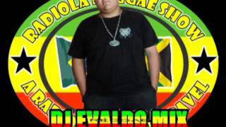 MELO DO VOADOR 2011 DJ EVALDO MIX [upl. by Eniluqaj793]