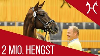 201 Millionen Hengst Preisspitze  Vivaldi x Dancier  Hannoveraner Hengstmarkt  2018 [upl. by Fates]