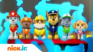 Psi Patrol Polska  Piosenka Czołówkowa Muzyka  Nick Jr [upl. by Appleby]