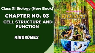 Ch 3 Cell Structure and function  Ribosomes  Class 11 biology new book Sindh board [upl. by Orland]