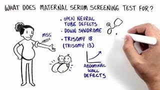 Maternal Serum Screening MSS [upl. by Teodoor383]