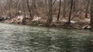 Winter fishing caught a big brown trout Bushkill creek pa [upl. by Dunaville]