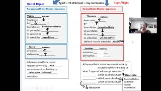 Ch 4 part 3 lecture 1 PNS physiology [upl. by Ujawernalo]