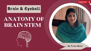 Anatomy of Brain Stem  Bangla Demonstration of Brain Stem  Viscera of Brain Stem  Brain Stem Demo [upl. by Eduard]