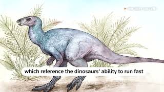 Scientists discover new dinosaur in Argentina  REUTERS [upl. by Ardnikat]