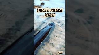 Catch and release please pt 3  Fiskar gädda [upl. by Assanav]