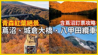 東北賞楓行蔦沼八甲田篇。蔦沼朝燒值得去嗎？八甲田令人美哭！購票流程完整解說 [upl. by Binky]