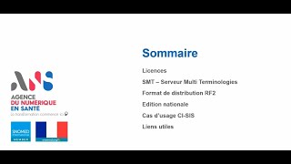 SNOMED CT 67 juin Data Scientists 67 SNOMED CT en France [upl. by Africah]