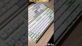 그루브스톤 GV10 라이트G 저소음갈축 45g GV8 그린크레용 저소음코랄축 45g 그루브스톤GA키캡 groovestoneofficial [upl. by Rakia]