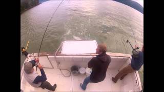 King salmon fishing wrangell alaska [upl. by Ennis439]