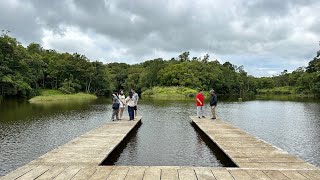 D Farm Sobrang ganda Hidden Paradise Privately owned Rainforest Lakes Coconut plantation [upl. by Monika522]