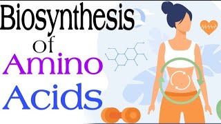 Biosynthesis of Amino Acidsnon essential  Lecture 9 [upl. by Ezechiel]