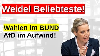 Wahlumfrage Weidel beliebteste Kanzlerin Sonntagsfrage Bundestagswahlen BSW Vertrauen Autokaufen [upl. by Siriso]