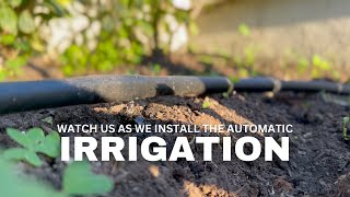 Check Out Our Irrigation System Installation irrigation irrigationsystem gardena [upl. by Atazroglam]