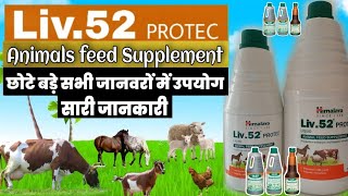 liv 52 protec animal feed supplement भूख वजन बढ़ाने की दवा veterinarymedicinereviewhindi [upl. by Sihunn184]