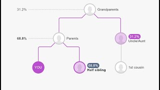 Newest MyHeritage DNA Tool is NOT Something to Miss [upl. by Ecitsuj737]