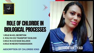 ROLE OF CHLORIDE IN BIOLOGICAL PROCESSES [upl. by Valene285]