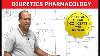 Diuretics  Pharmacology  Dr Najeeb [upl. by Hcurob415]