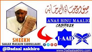 Suwaru Min Xayaati Saxaaba ANAS BINU MAALIG  ShSaalax Macalin [upl. by Zena]