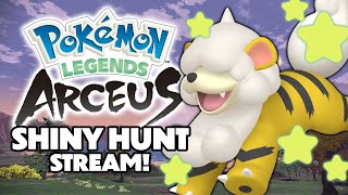 SHINY HUNT STREAM Pokémon Legends Arceus [upl. by Suhsoj578]