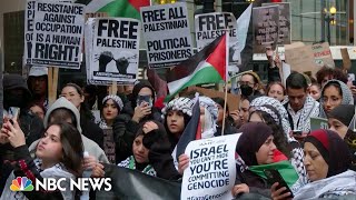 WATCH Noisy protest in Chicago in support of Palestinians [upl. by Lebyram86]