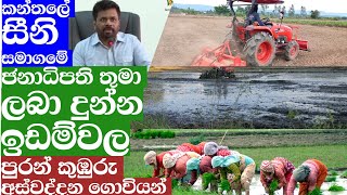 ජනාධිපති තුමා ලබා දුන් භූමියේ ලහි ලහියේ පූරන් කූඹූරු අස්වද්දන ගොවියන් [upl. by Eimmelc]