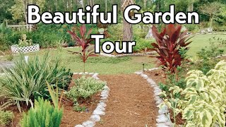 Summer Garden Tour In 2024 Meu Jardim Na Florida [upl. by Notyrb]